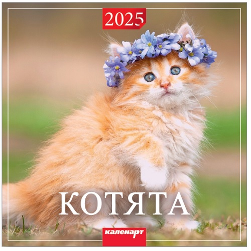Календарь КВАДРАТ  285*285мм на 2025г.  Котята
