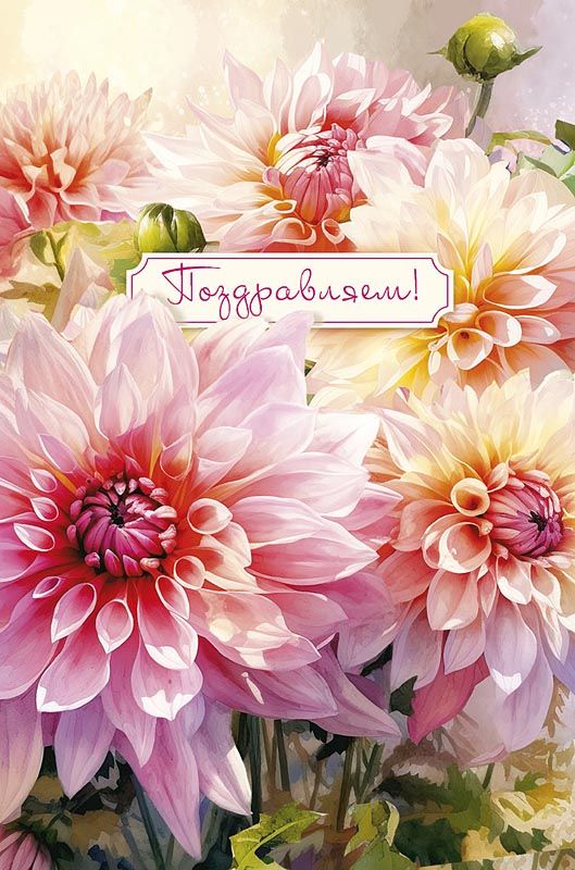 Открытка А5 "Поздравляем"