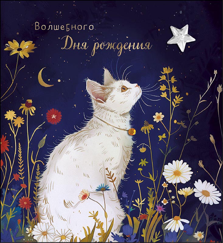 Открытка А5 "Волшебного Дня рождения"