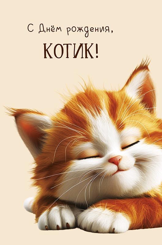 Открытка А5 "С Днем рождения, котик!"
