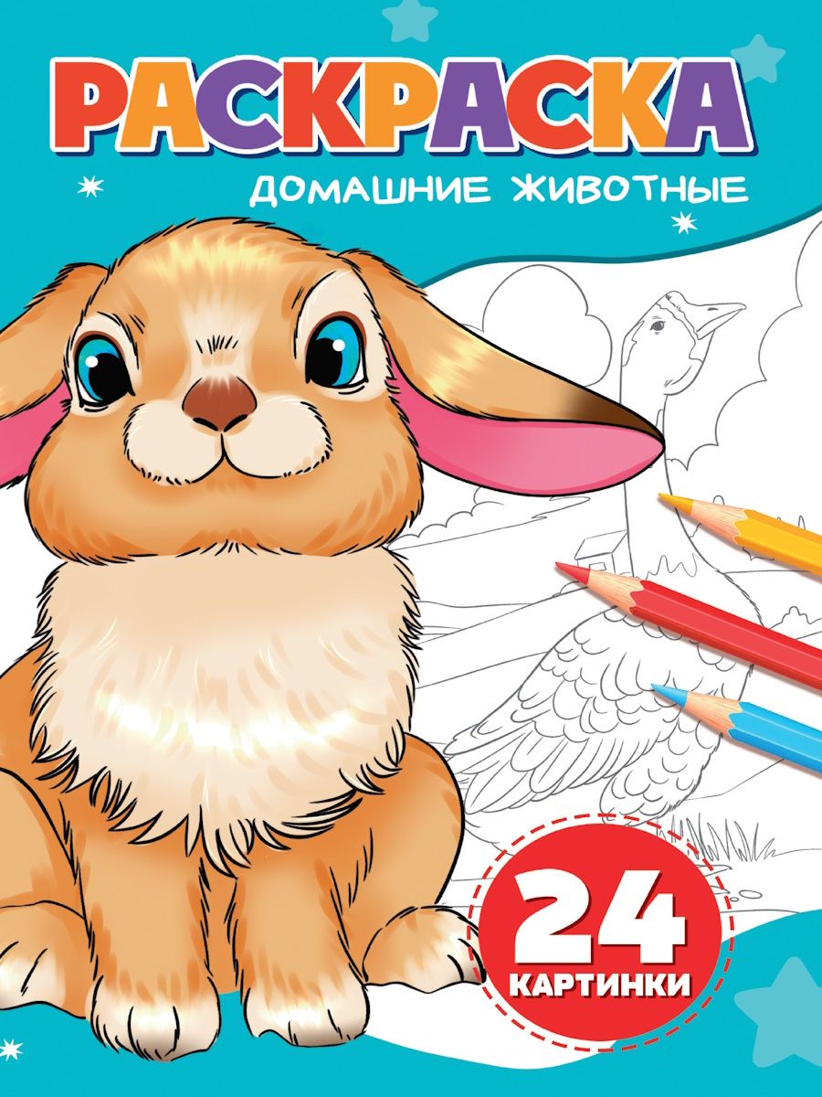 Раскраска "Домашние животные" А5 24стр.