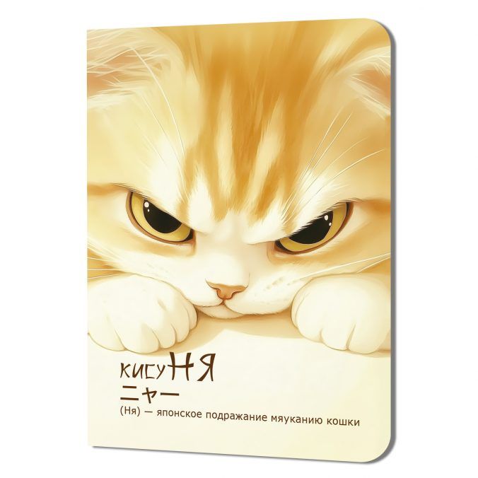 Записная книжка 90*120мм  24л. картон, скоба "КисуНЯ. Котик хмурится" кл