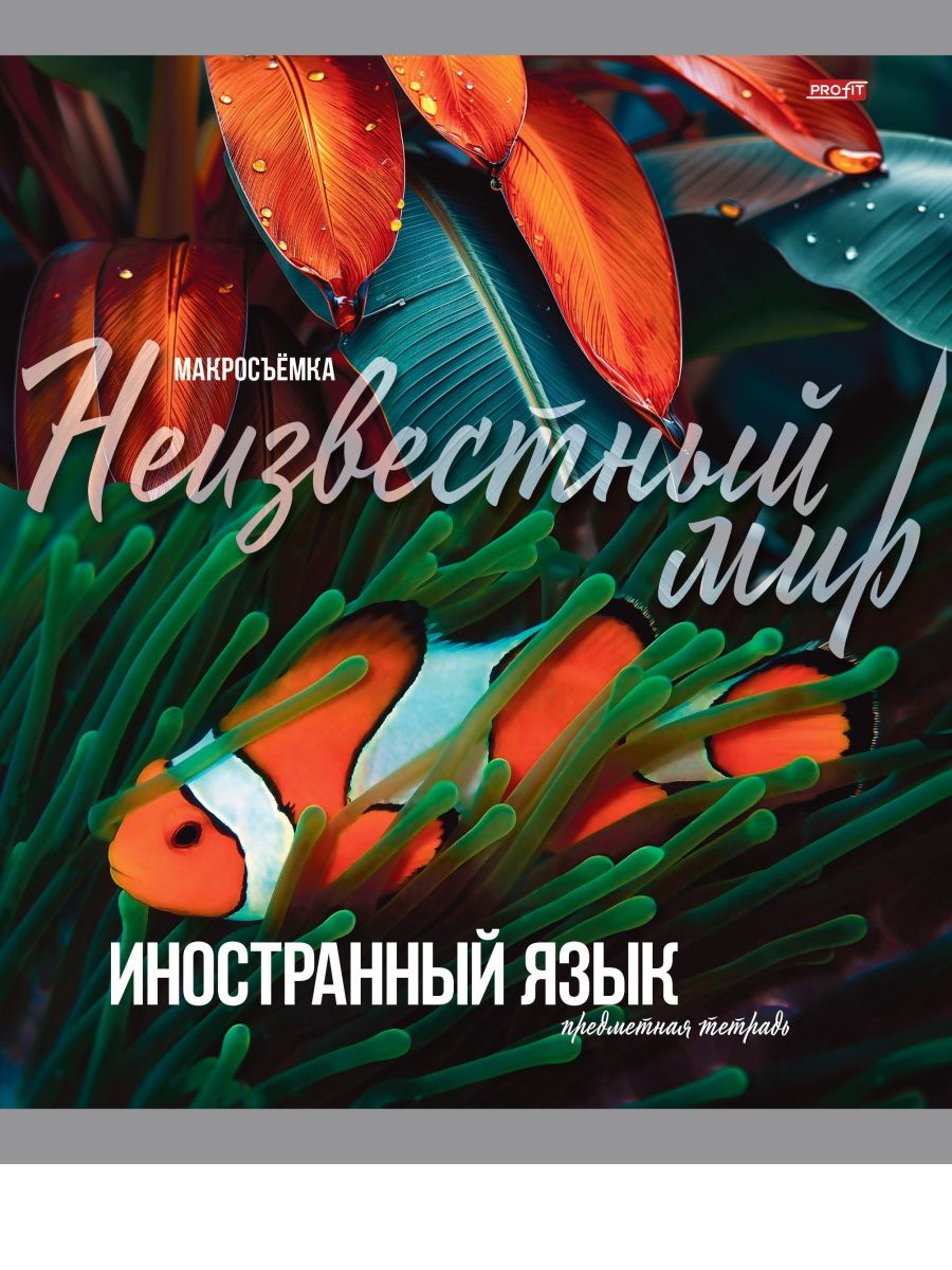 Тетрадь предметная А5 Иностранный язык "Мир вокруг" 36л, кл.,обл.мел.бум., бел.100%