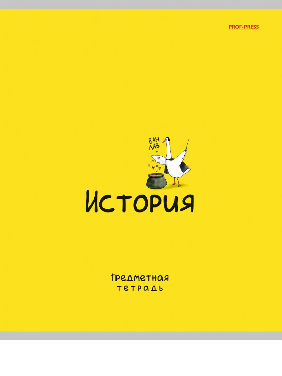 Тетрадь предметная А5 История "Mini friends" 48л, кл.,тисн.лен