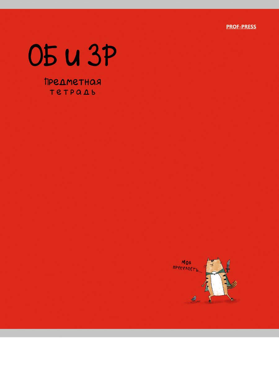 Тетрадь предметная А5 ОБиЗР "Mini friends" 48л, кл.,тисн.лен