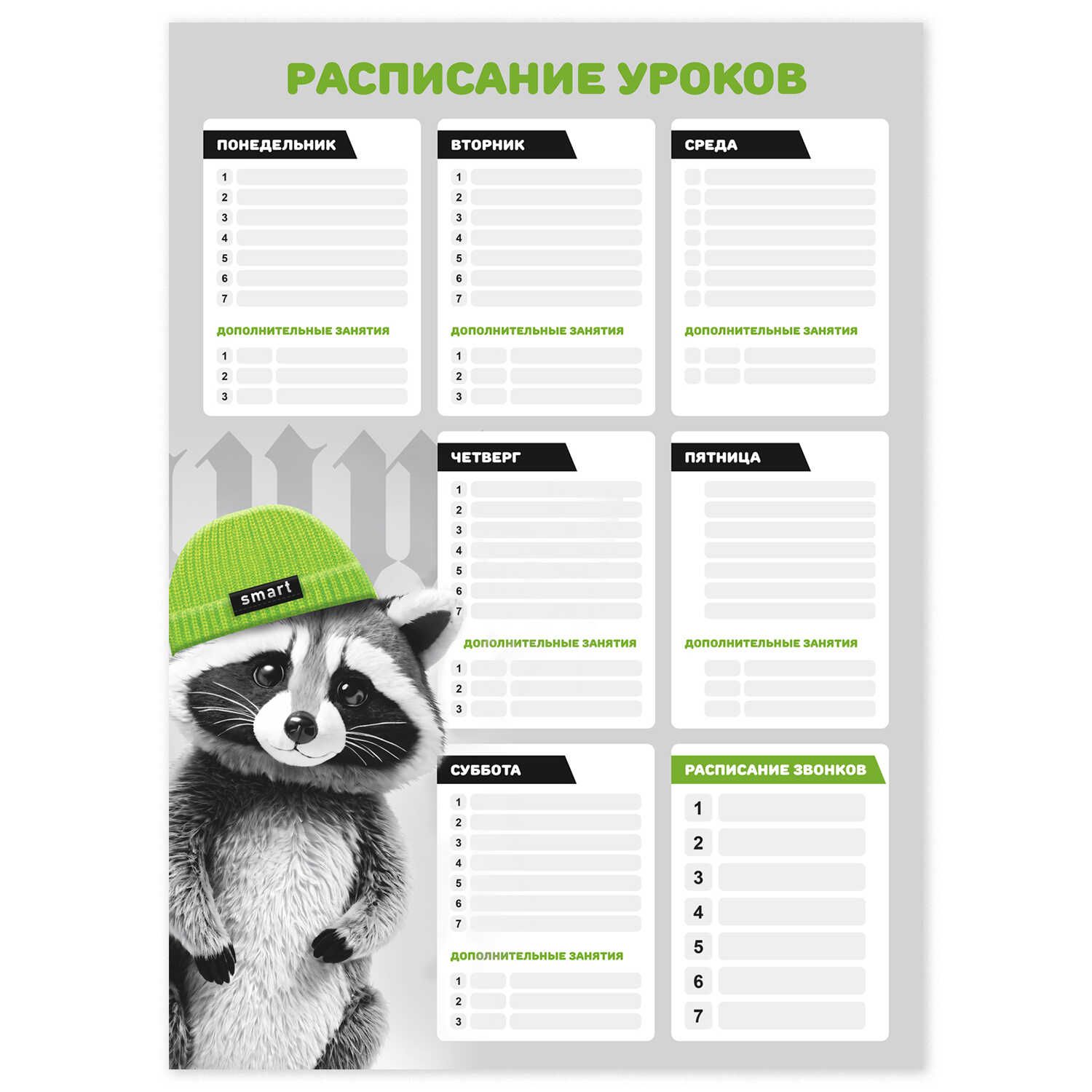 Расписание уроков А3 "Енот в шапочке" выб. УФ-лак, 235гр/м2