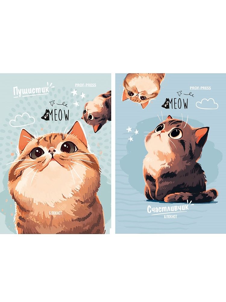 Блокнот А7  48л клеевой кор. "Кот-пушистик" клетка