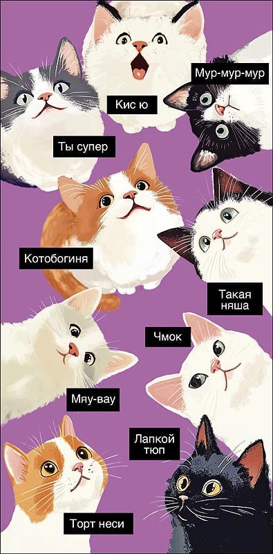 Конверт для денег "Кис ю. Мур-мур-мур"