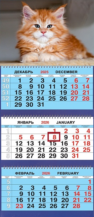 Календарь Трио  310*690мм на 2026г.  Животные. Важный кот