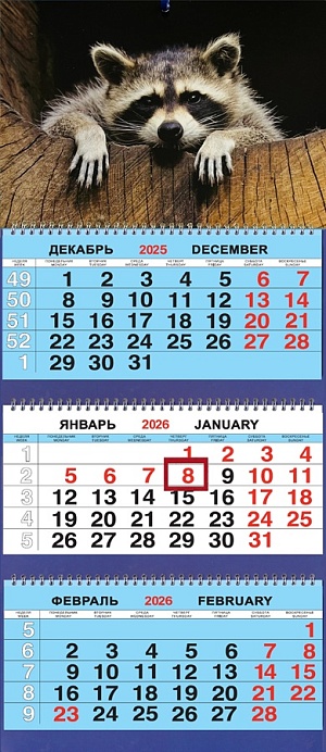 Календарь Трио  310*690мм на 2026г.  Животные. Енот