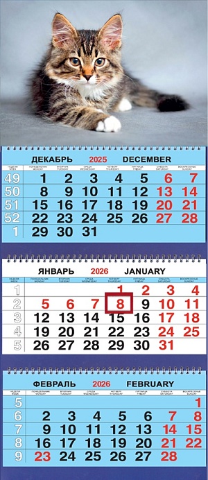 Календарь Трио  310*690мм на 2026г.  Животные. Котёнок