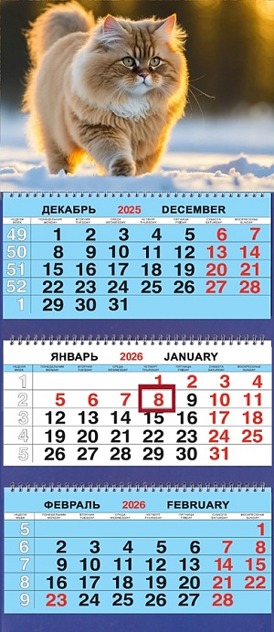 Календарь Трио  310*690мм на 2026г.  Животные. Котёнок на закате