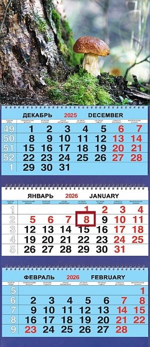 Календарь Трио  310*690мм на 2026г.  Природа. Гриб у дерева