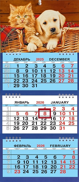 Календарь Трио Малый  200*470мм на 2026г. Друзья в корзине