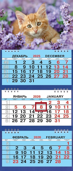 Календарь Трио Малый  200*470мм на 2026г. Котёнок в сирени