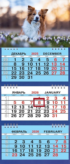 Календарь Трио Малый  200*470мм на 2026г. Щенок в цветах