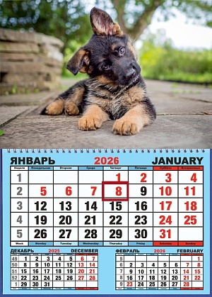 Календарь настенный  310*420мм на 2026г.  ОДНОБЛОЧНЫЙ с курсором и календ.сеткой "Щенок"