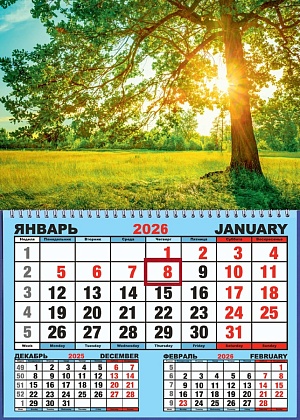 Календарь настенный  310*420мм на 2026г.  ОДНОБЛОЧНЫЙ с курсором и календ.сеткой "Солнечное дерево"
