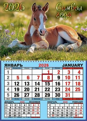 Календарь настенный  310*420мм на 2026г.  ОДНОБЛОЧНЫЙ с курсором и календ.сеткой "Жеребёнок"
