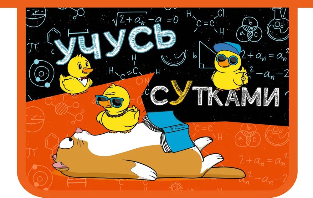 Папка д/тетрад. А4 (325*230*55) молния сверху, ламинат "Учусь сутками"