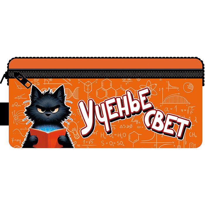 Пенал-косметичка (200*90*40) 2 отд. молния, ткань "Ученье свет"