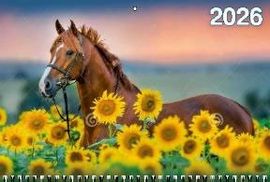 Календарь Трио  310*680мм на 2026г.  Год Лошади. Вид 1