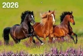 Календарь Трио  310*680мм на 2026г.  Год Лошади. Вид 5