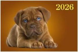 Календарь Трио  310*680мм на 2026г.  Забавный щенок