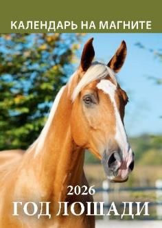 Календарь на магните отрывной  96*135мм на 2026г.  Год лошади. Вид 1
