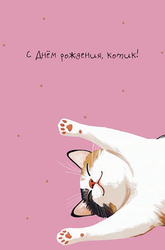 Открытка А5 "С Днем рождения, котик!"