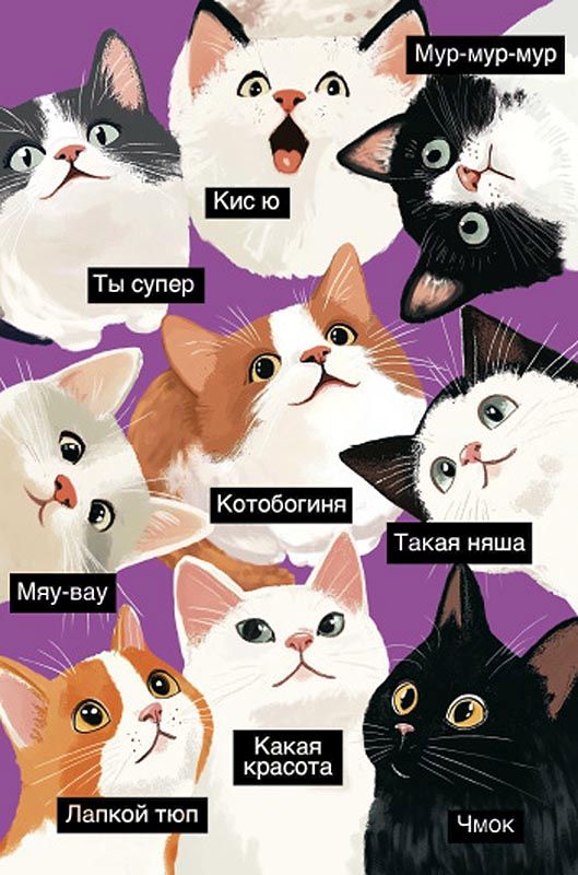 Открытка А5 "Кис ю. Мур-мур-мур"