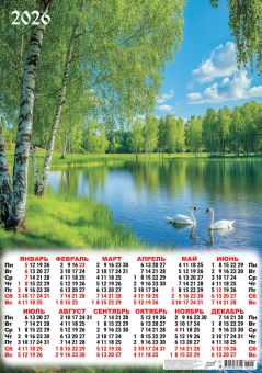 Календарь листовой 420*594мм, А2 Природа. Белые лебеди, на 2026 год