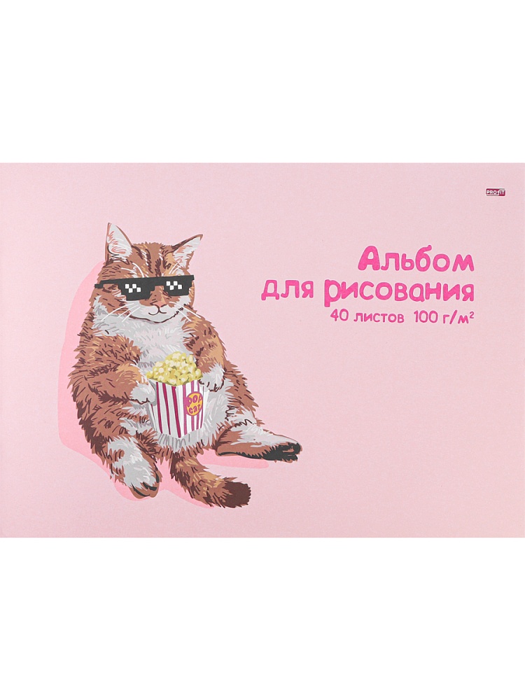 Альбом А4 40л скоба "Котик и попкорн" пл. 100гр/м*