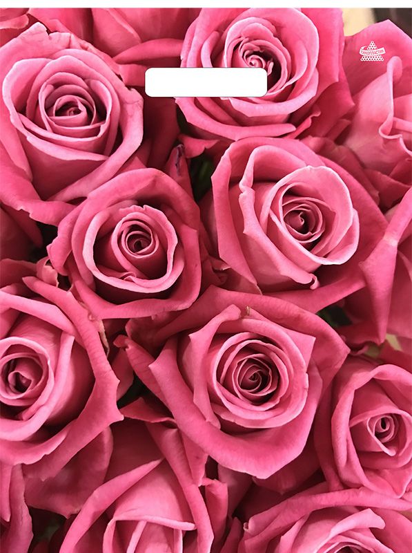 Пакет 40*31см (60мк) с вырубной укрепл. ручкой "Джейми" Ламинат