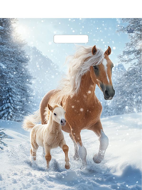 Пакет 45*38см (60мк) с вырубной укрепл. ручкой "Дуэт" ПВД