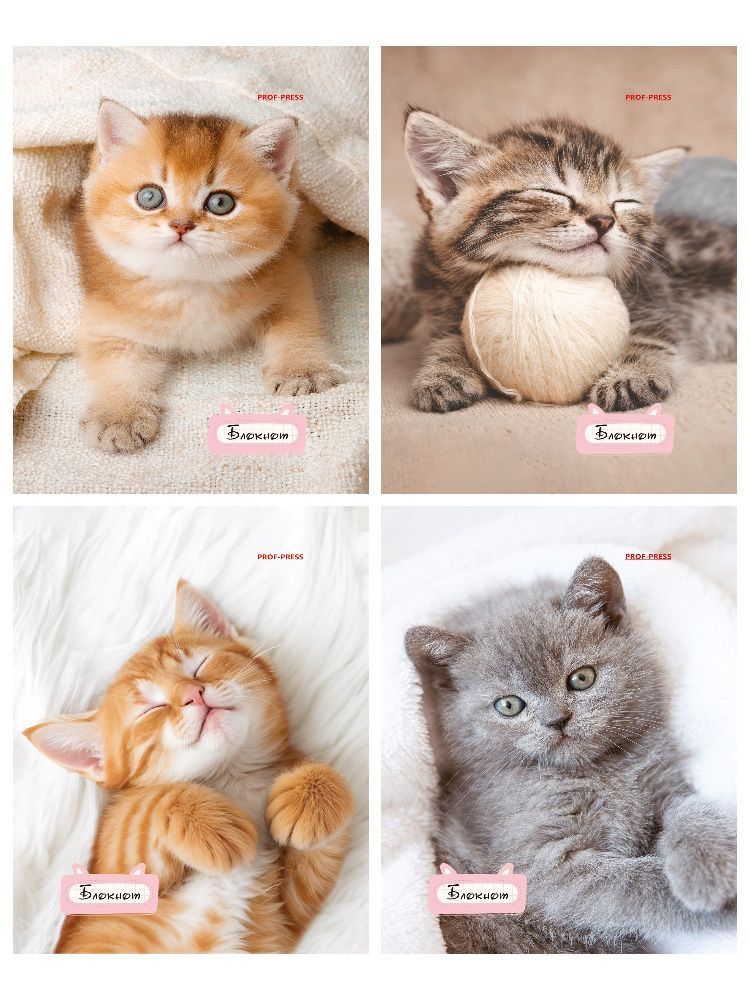 Блокнот А6  24л скоба "Милые котята - 1" клетка