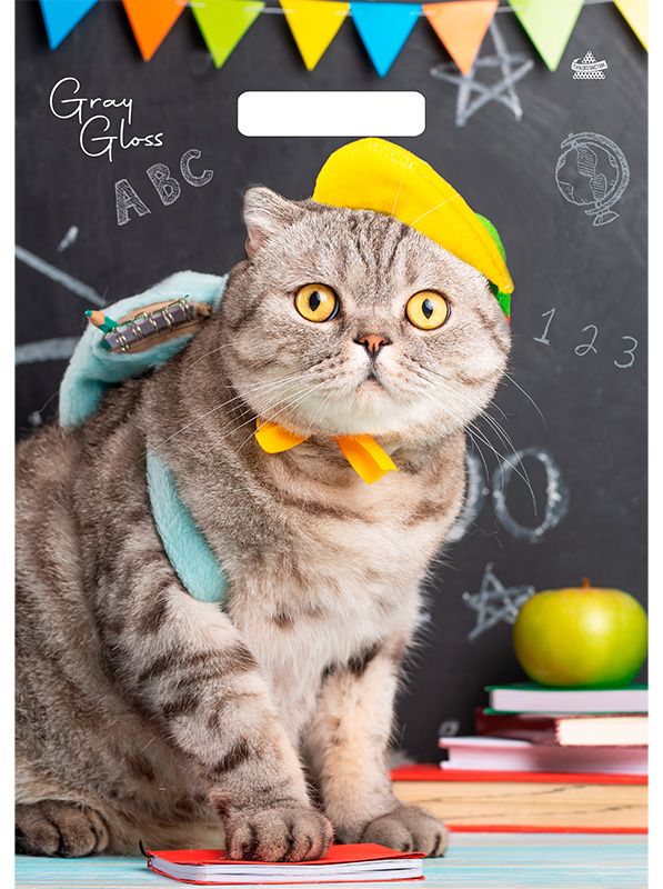 Пакет 43*31,5см (50мк) с вырубной ручкой "Грэй Глосс Кот" ПВД