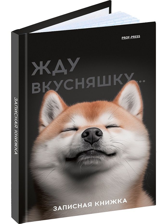 Блокнот А6 7БЦ  48л "Милый забавный пес" клетка, глянц.лам., лен