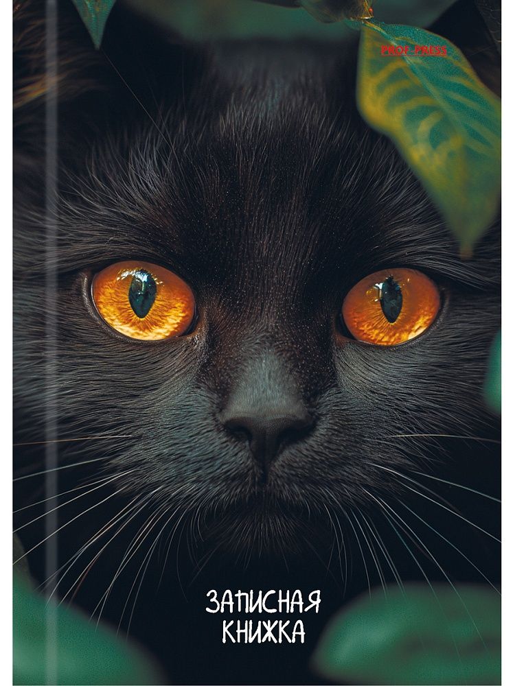 Блокнот А6 7БЦ  96л "Взгляд черного кота" кл., глянц.лам.