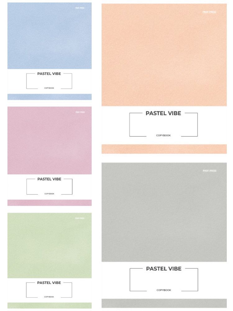 Тетрадь А5 48л кл. Проф-Пресс "Pastel vibe" 5 диз.в блоке