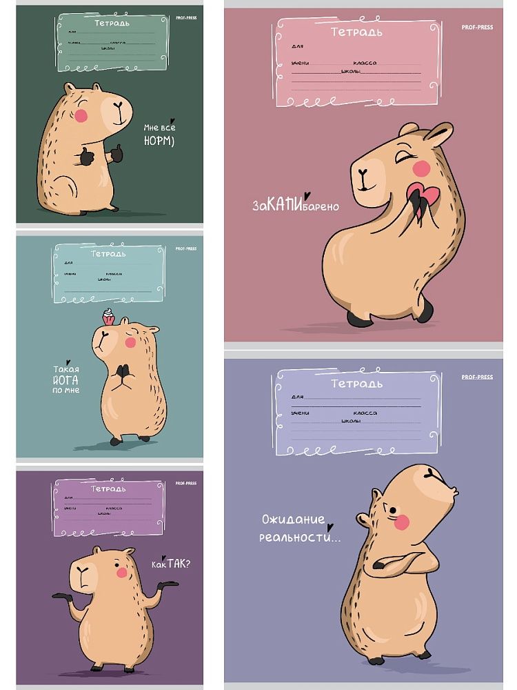 Тетрадь А5 12л кл. Проф-Пресс "Милая капибара - 1" 5 диз.в блоке