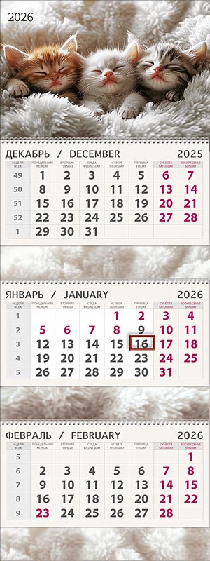 Сладкий сон 2026 Квартальный трехблочный календарь