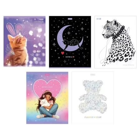 Тетрадь А5 48л кл. Hatber "Грезы и мечты" мат.лам., 3Dфольга, 5диз.в блоке