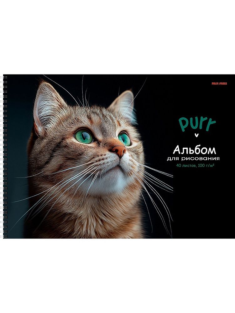 Альбом А4 40л гребень "Зеленоглазый котик" мат.лам, выб.лак., пл. 100гр/м