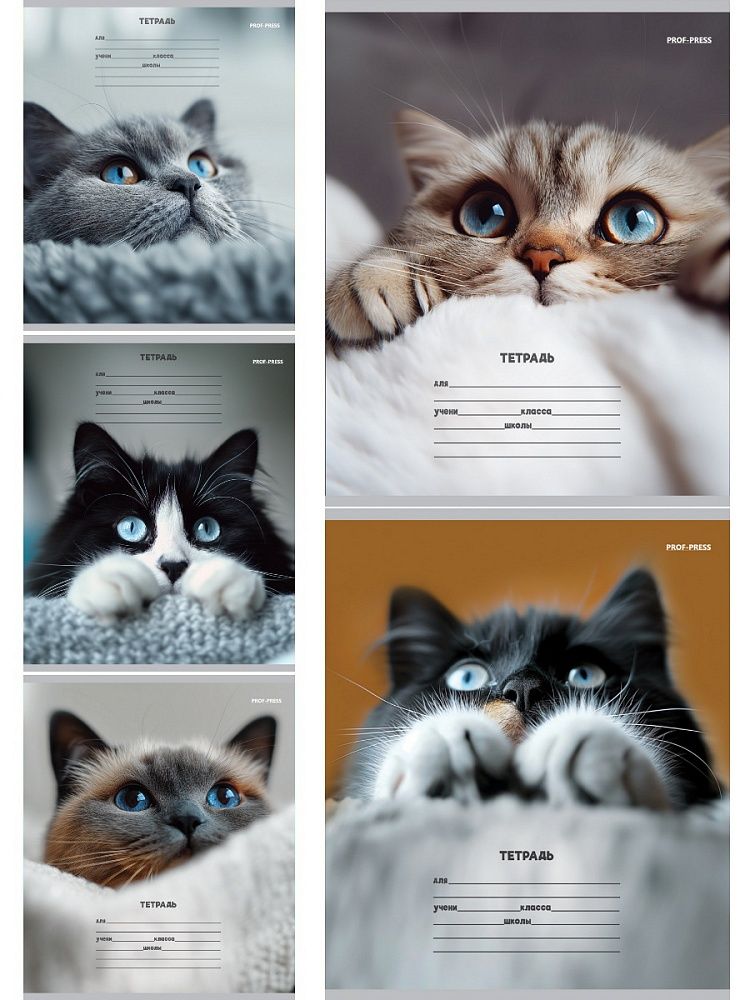 Тетрадь А5 12л косая лин. с доп.горизонт.лин. Проф-Пресс "Кошачьи мордочки" 5диз.в сп.