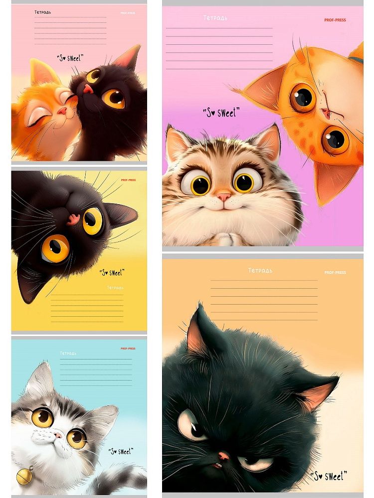Тетрадь А5 12л косая лин. с доп.горизонт.лин. Проф-Пресс "Кошачьи мордочки - 4" 5диз.в сп.