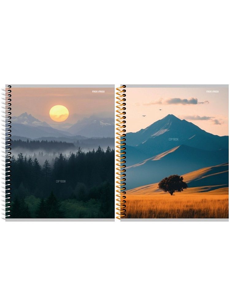 Тетрадь А5  48л кл. гребень Проф-Пресс "Красивые пейзажы - 4"