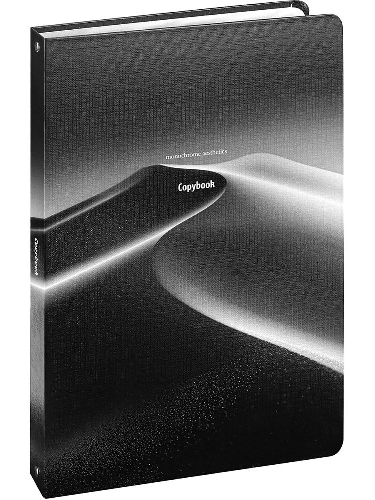Тетрадь  А4 120+120л кл. на кольцах Проф-Пресс "Монохромный дизайн" холст