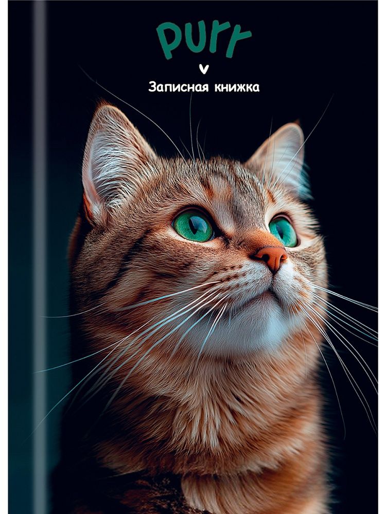 Блокнот А7 7БЦ  48л "Зеленоглазый котик - 1" клетка, глянц.лам.