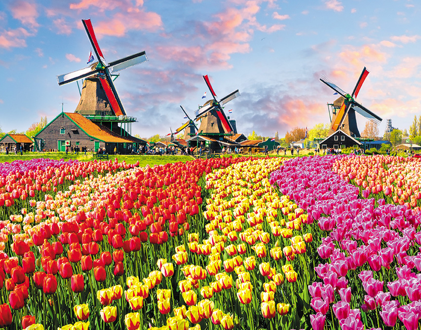 Календарь Трио металл+объем  295*720мм на 2026г.  Цветочное поле